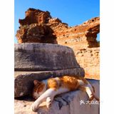 以弗所大剧院