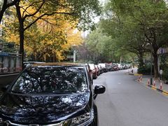 -世纪同乐绿地世纪城二期