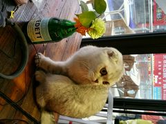 android_upload_pic-MIKAKU(万达广场上海宝山店)