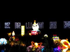 -武陵山森林公园