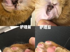 -comecome来吧宠物(奥克斯中心店)