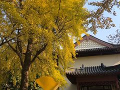 -郑和公园