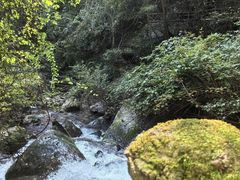 -五女峰国家森林公园