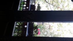 android_upload_pic-3AM HAIR SALON烫发染发接发
