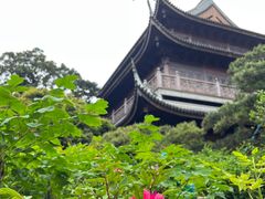 -龙华素斋(龙华路店)