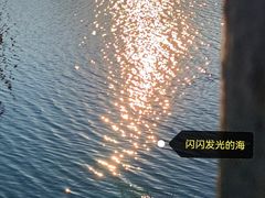 -黑石礁公园