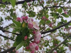 -元大都城垣遗址公园