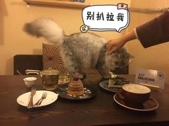 -猫友咖啡店(玉林西路店)