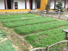 -重元寺香积厨素斋馆