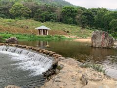 -广州市石门国家森林公园