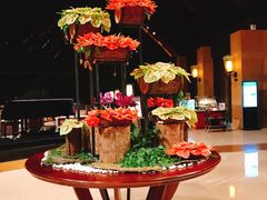 -三亚湾海居铂尔曼度假酒店