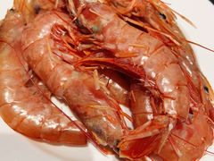 阿根廷红虾-济南蓝海御华大饭店·蓝钻国际美食自助百汇(山东书城店)