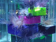 -太平洋海底世界