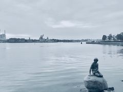 -美人鱼
