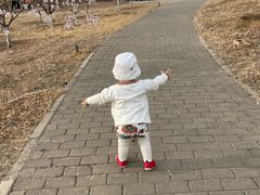 -永定河休闲森林公园