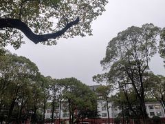 -四川大学(望江校区)