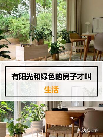 大家理想中的家都是什么样子呢