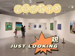 -宝龙艺术中心(七宝宝龙城店)