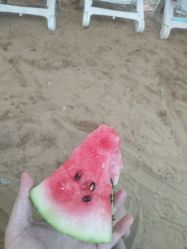 -珍珠泉水上世界