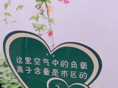 -丹樱生态园