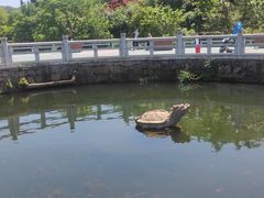 -白马涧龙池景区