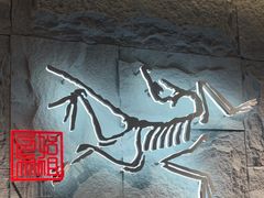 -ARC'TERYX始祖鸟(北京王府中环店)
