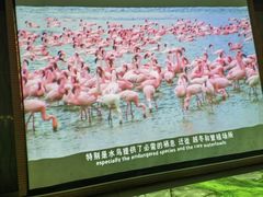 -中国湿地博物馆