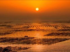 -北岐滩涂