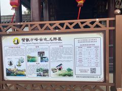 -常熟方塔园