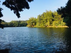 -南国桃园旅游度假区