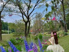 -人民公园(罗湖区)