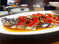 翘嘴鲌鱼-丹江渔村(望京店)