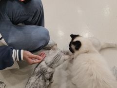 -共舞时光猫咖·狗咖(新街口店)