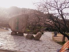 -香雪海