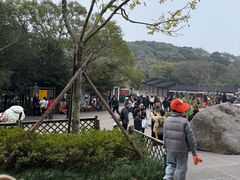 -普陀山风景区-佛顶山