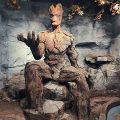 -Zoolung Zoolung动物主题公园(海信广场店)