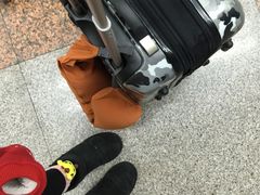 -哈尔滨太平国际机场