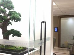 -柏乐口腔医院·舒适化无痛种植牙中心(东盟商务区院)
