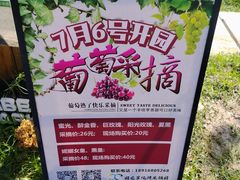 -嘉北郊野公园