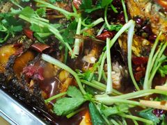 -重庆椒麻鱼·川味江湖菜