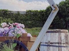 -安德鲁户外烧烤帐篷营地(马泉营店)