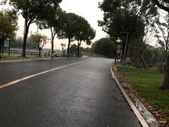 -漕湖湿地公园