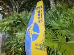 -演武大桥观景平台