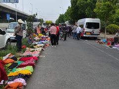 -中环花鸟鱼虫市场