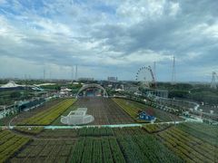 -广州花之恋城堡酒店