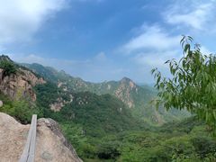 -大岭沟猕猴桃谷风景区