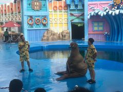 -华夏文旅海洋公园