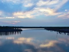 -漩门湾国家湿地公园