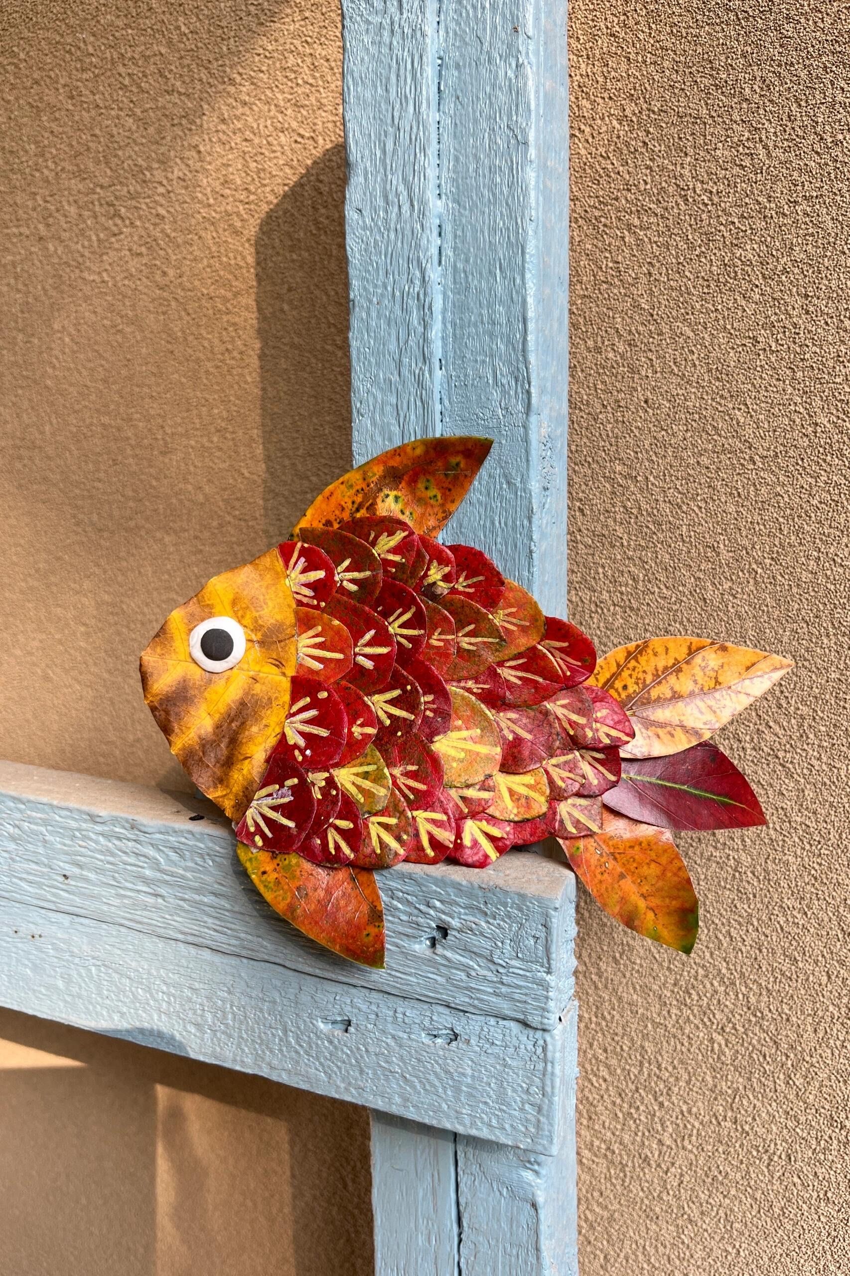 户外寻秋怎么玩?树叶手工小鱼含步骤🍂