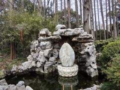 -上海醉白池公园